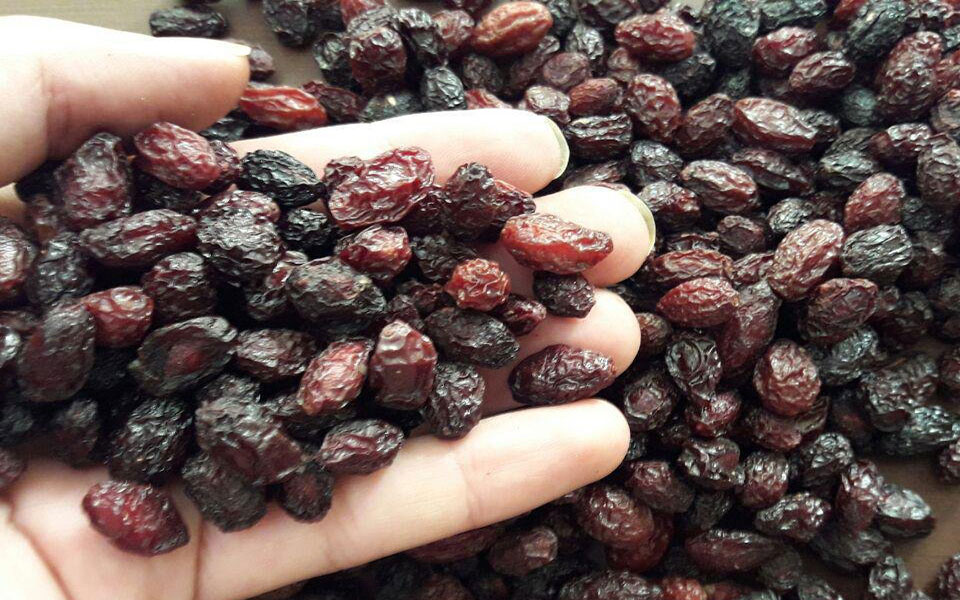 فواید زغال اخته خشک